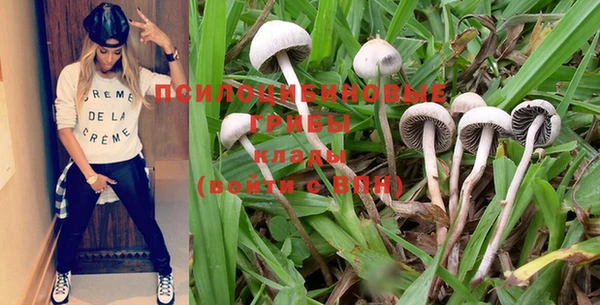 кокс Михайлов
