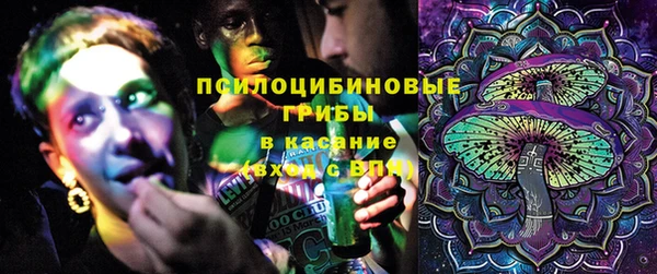 кокс Михайлов