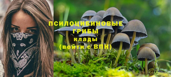 MDMA Верхний Тагил