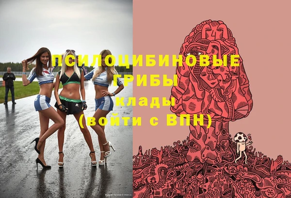 кокс Михайлов