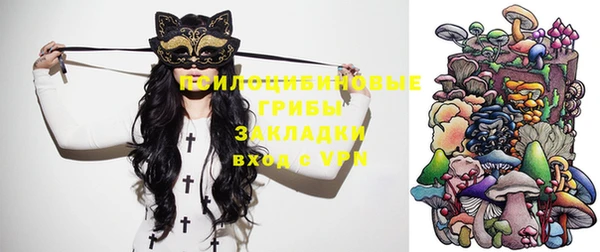кокс Михайлов