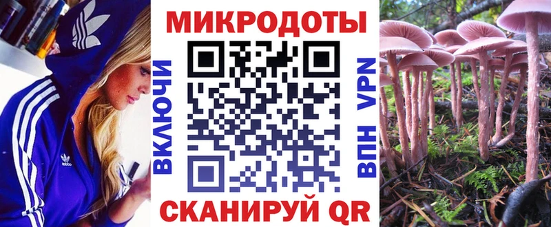 Псилоцибиновые грибы Cubensis дарнет шоп Полтавская